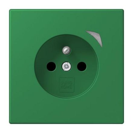 Jung BTLC1521FSE219 HOME Energy french socket