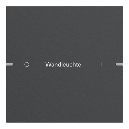 GIRA 5031928 rocker set writable for push button sensor 4 | 1-way | anthracite