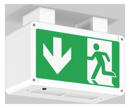 RZB 671211.002.1.89 Ceiling Rectangle 250 LED emergency light