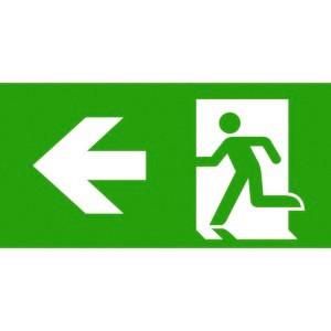 CEAG emergency light PL for Atlantic LED S CGLine ISO 7010 pictogram