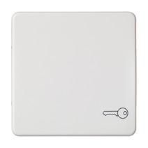ELSO 233124 Universal switch/button key pure white rocker