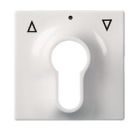 ELSO 363034 Central plate for key switch JOY pure white
