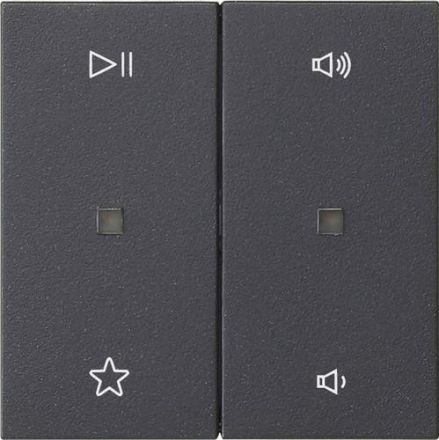 Gira 538428 2f Audioctrl Sys55 anthr rocker
