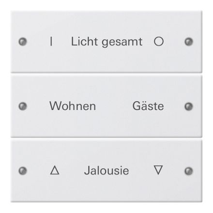 GIRA 220327 TS3 rocker set for label service System 55 | 3-way | pure white satin finish