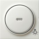 Gira 028540 rocker control symbol light S-Color pure white