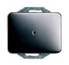 Busch-Jaeger 1742-20 blind central plate, with support ring platinum