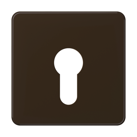 Jung CD525BR cover for key switch without dismantling protection, thermoplastic, CD series, brown