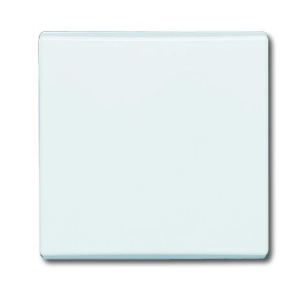 Busch-Jaeger 2106-34 rocker alpine white