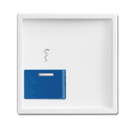 Busch-Jaeger 2548-022 AR-84 central plate studio white