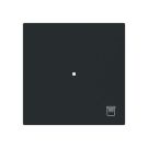 Busch-Jaeger 2CKA006220A0939 6232-10-45M 1-fmSymbol blind rocker