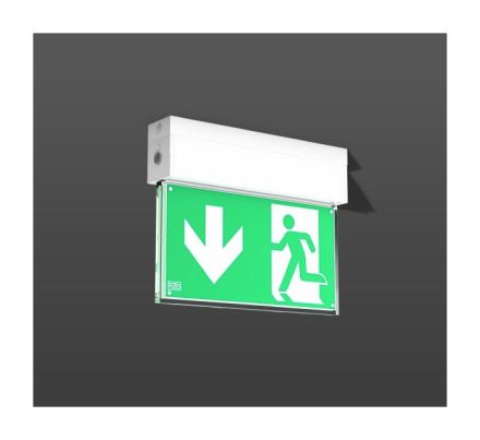 RZB 672217.002.1.07 GSUN S 4.7W LED emergency light
