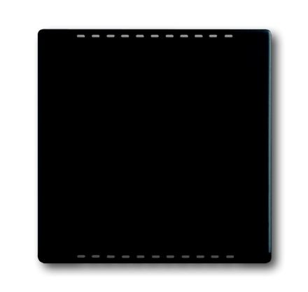 Busch-Jaeger 6541-885 central plate, for cooling part, matt black