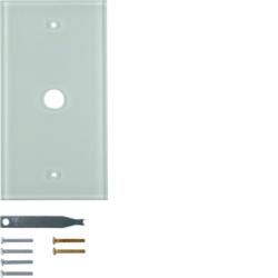 Berker 1391 glass cover plate clear Berker TS