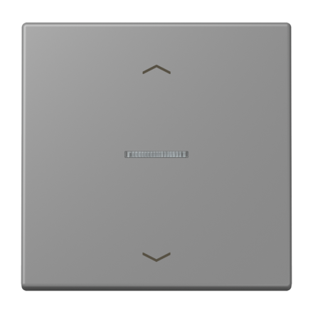 Jung BTLC17101P203 JUNG HOME button 1-way, with arrow symbols, LS series, gris 31