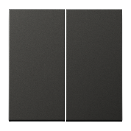 Jung AL1702AN LB management button 2-way, painted aluminum, LS series, anthracite (painted aluminum)