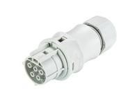 Wieland 96.151.0053.0 RST20I5C B1 ZR1 GL socket part