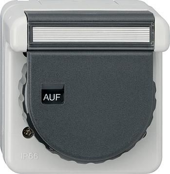 Gira 044031 SCHUKO socket BSF bayonet WD surface-mounted grey