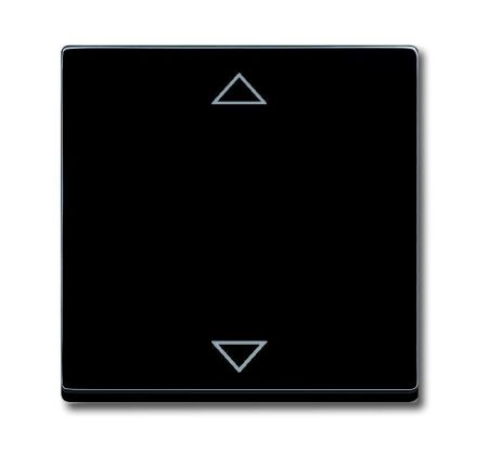 Busch-Jaeger 6430-885-102 control element black matt