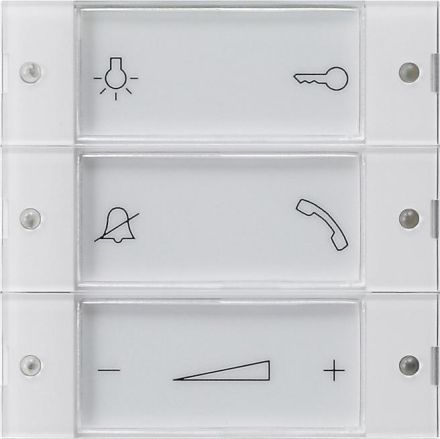 Gira 850003 control button home station System 55 clear