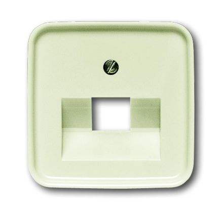 Busch-Jaeger 1803-212 central plate white