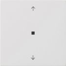 Gira 5382112 S3000 BT arrows FLS rws operating unit