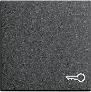 Gira 028728 rocker symbol key system 55 anthracite