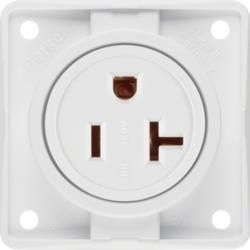 Berker 862542509 Socket with protective contact 'USA/CANADA'NEMA 6-20 R polar white, glossy Integro