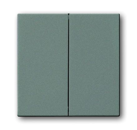 Busch-Jaeger 1785-803 rocker switch metallic grey