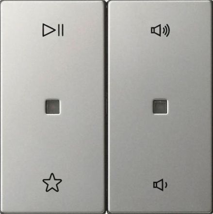 Gira 5384600 2f Audioctrl Sys55 ES rocker