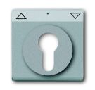 Busch-Jaeger 1755 SL/PZ-83-101 central plate, with labelling field, aluminium silver