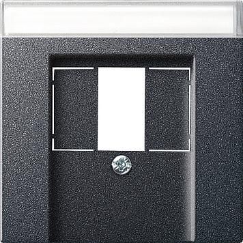 Gira 087628 cover BSF TAE+Stereo+USB System 55 anthracite