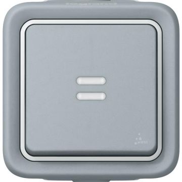 Legrand 069712 rocker switch control 69712 1-pole FR AP Plexo IP55, (grey)