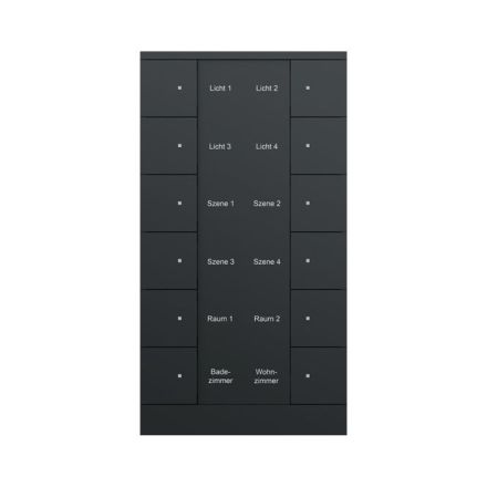 BUSCH-JAEGER SB/U12.0.11-885 KNX push button sensor Tenton | 12-way | matt black