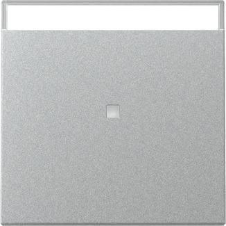 Gira 367026 control + BSF Sys.55 F aluminum rocker
