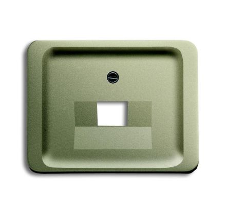 Busch-Jaeger 1803-260 central plate palladium