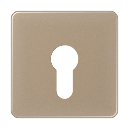 Jung CD525GB cover for key switch without dismantling protection, anodised aluminium, CD series, gold-bronze