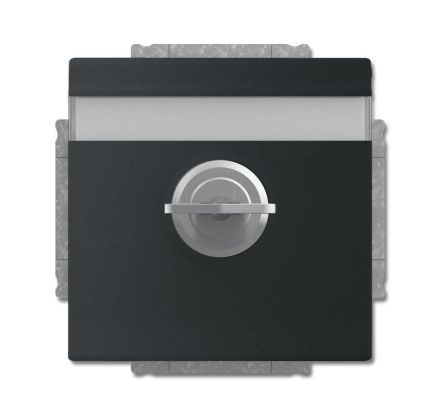 Busch-Jaeger 20 EUKNBSL-885-101 SCHUKO® socket insert, with hinged lid and lock, matt black