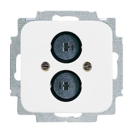 Busch-Jaeger 2147 U-214 central plate, with support ring alpine white