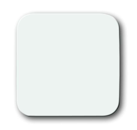 Busch-Jaeger 2506 O-214 rocker alpine white