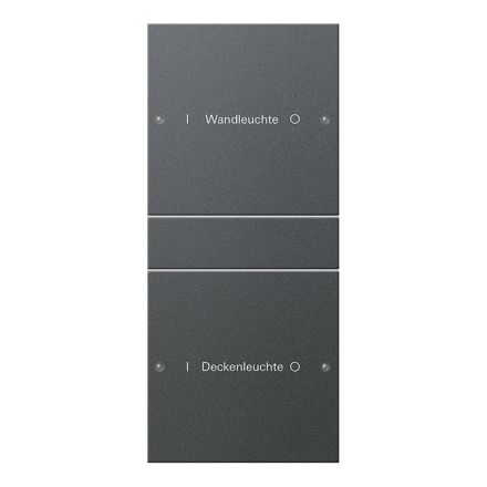 GIRA 220228 TS3 rocker set for label service System 55 | 2-way (1+1) | anthracite
