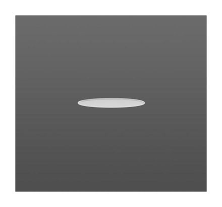RZB 982304.002 D198 H4 for fabric shade cover plate