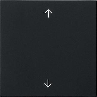 Gira 5389005 1f arrows Sys 55 sw with rocker