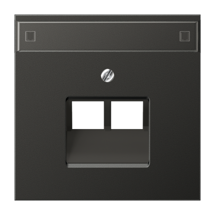 Jung AL2969-2NAUAAN cover for IAE/UAE connection boxes 2 x 8-pin, with label field, painted aluminum, LS series, anthracite