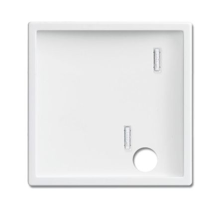 Busch-Jaeger 2548-046 A-84 central plate studio white