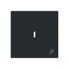 Busch-Jaeger 2CKA001751A3380 1789 TR-45M with symbol key with transparent cover rocker