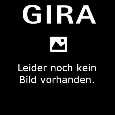 Gira 5545902 Keyless In FPMod.Sys 106 front panel