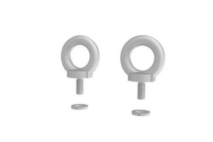 Schuch 900190002 M6 RS 6 P eyebolt