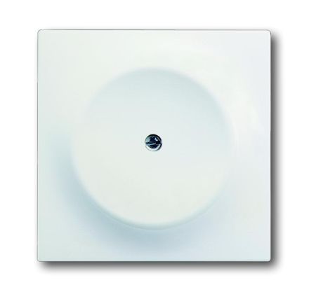 Busch-Jaeger 1742-774 blind central plate, with support ring studio white matt