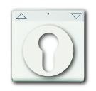 Busch-Jaeger 1755 SL/PZ-884-101 central plate, with label field studio white matt