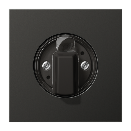 Jung AL1941AN cover for rotary switch, painted aluminium, LS series, anthracite (painted aluminium)